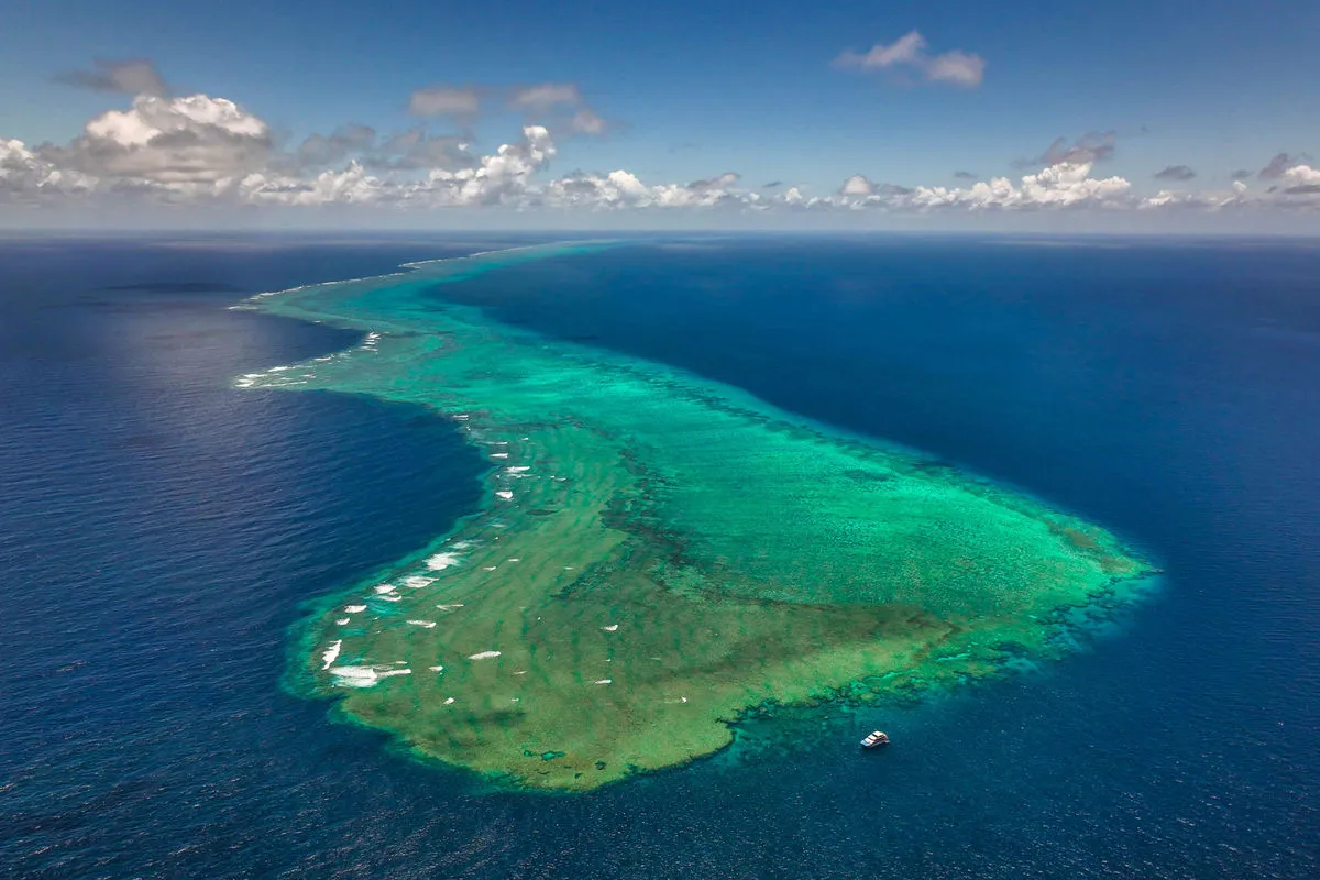 Spoilsport — фото 9, дайвинг Австралия