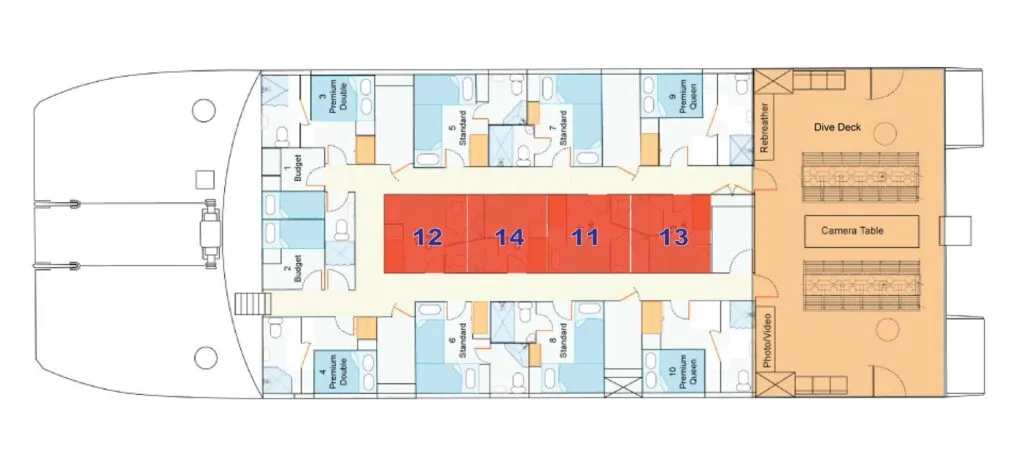 Club — фото каюты