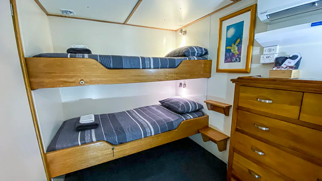 Club — фото каюты