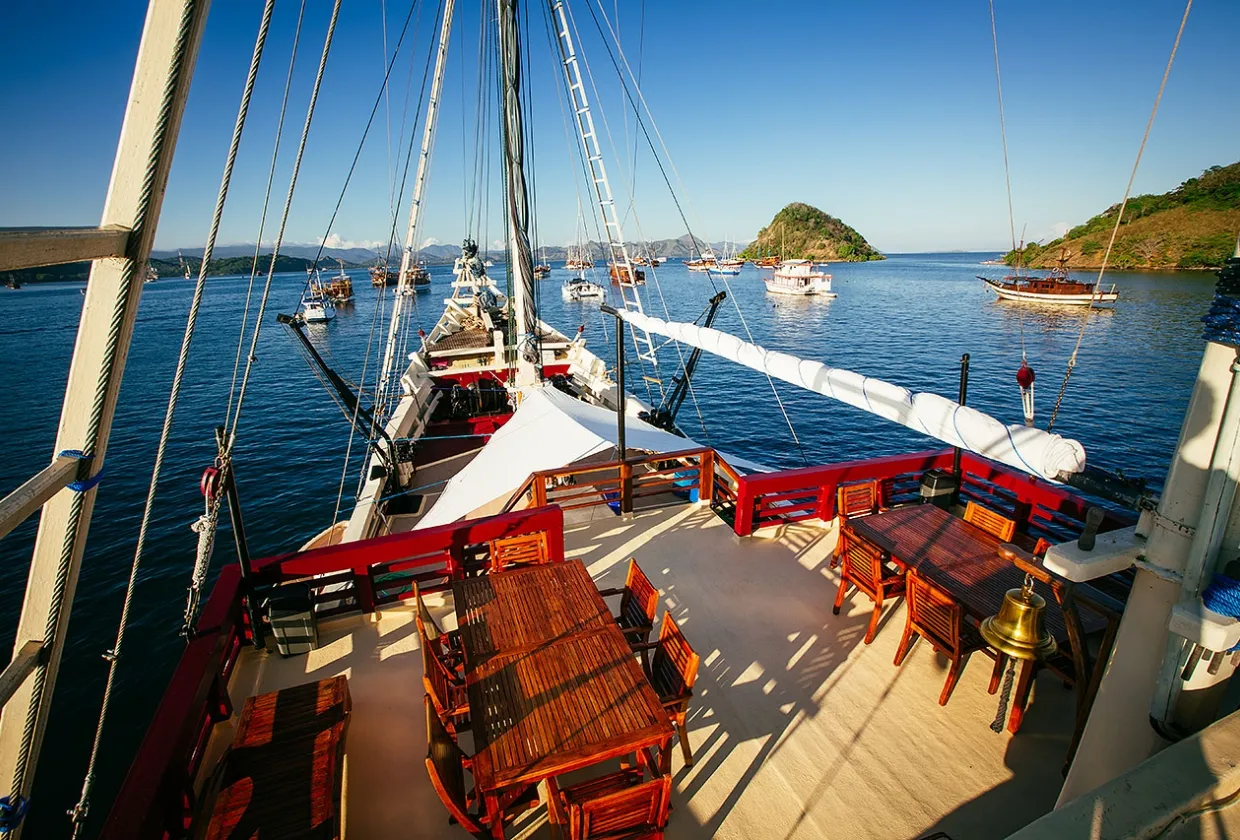 The Seven Seas — фото 31, дайвинг Индонезия