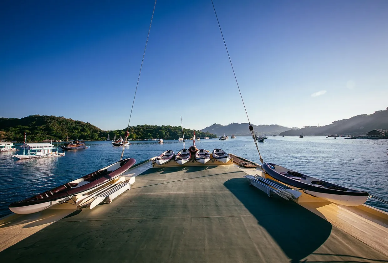 The Seven Seas — фото 40, дайвинг Индонезия