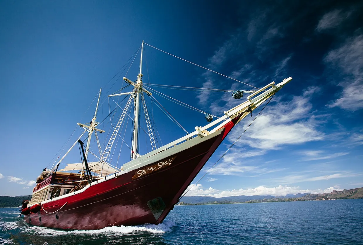 The Seven Seas — фото 44, дайвинг Индонезия