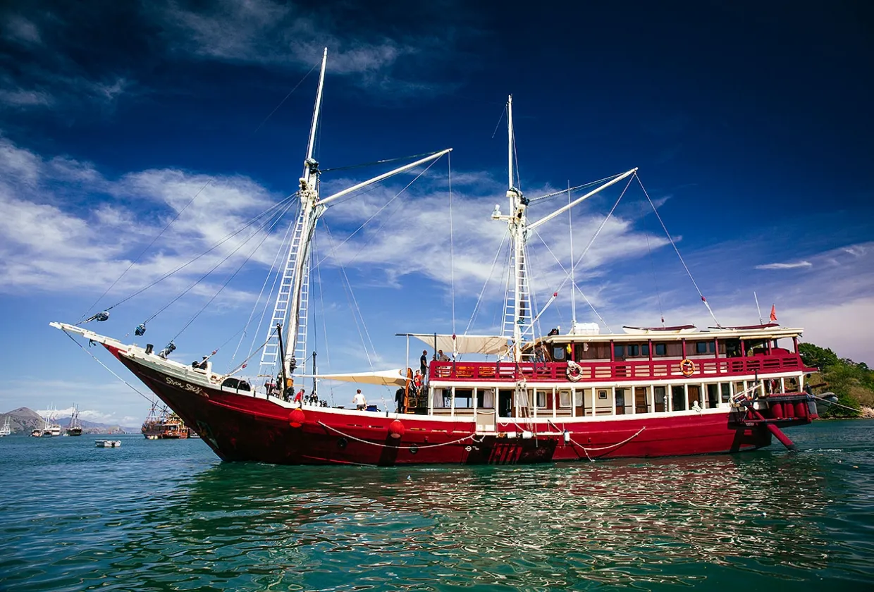 The Seven Seas — фото 5, дайвинг Индонезия