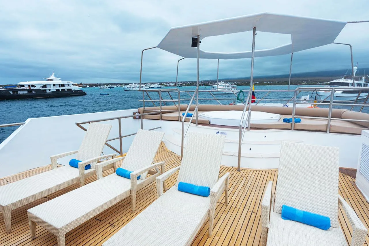 Tiburon Explorer sun deck overlooking the bay