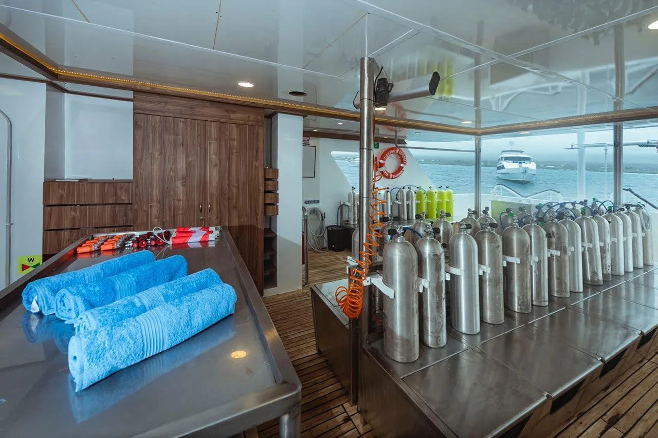 Tiburon Explorer dive deck with tank racks