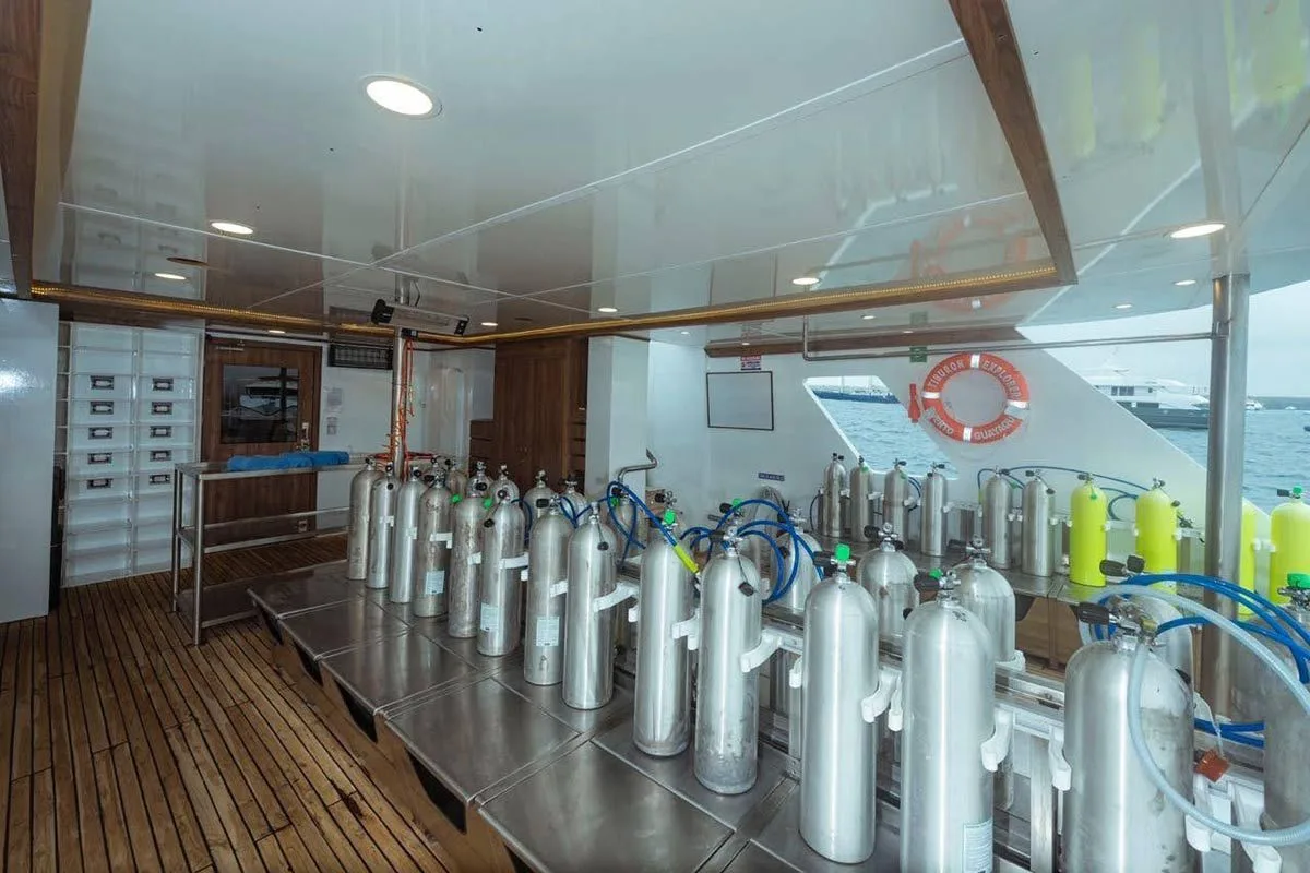 Tanks and gear on the Tiburon Explorer dive deck