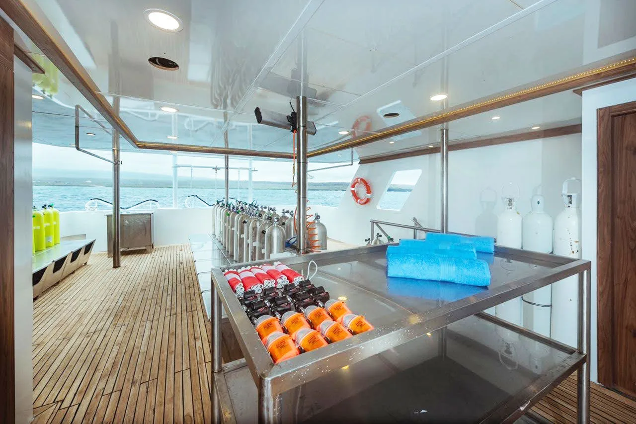 Rinse tanks for gear and cameras aboard Tiburon Explorer