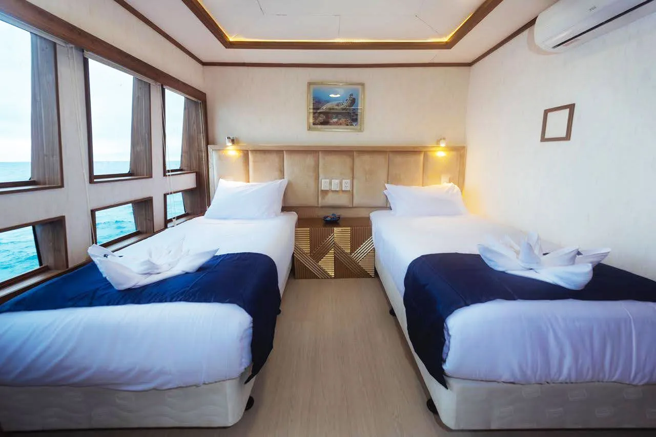 Main deck stateroom on Tiburon Explorer with two single beds