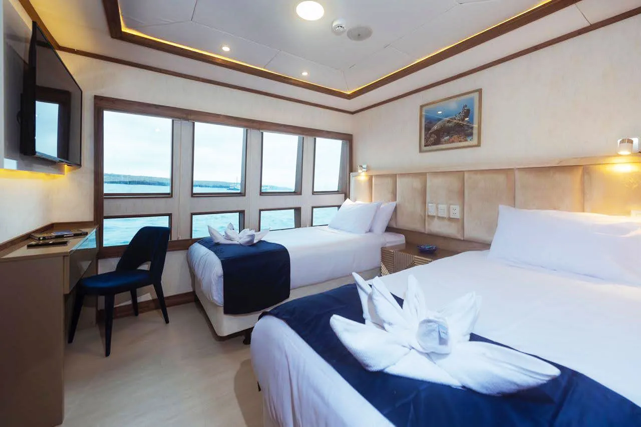 Spacious main deck cabin on Tiburon Explorer with a wall of windows