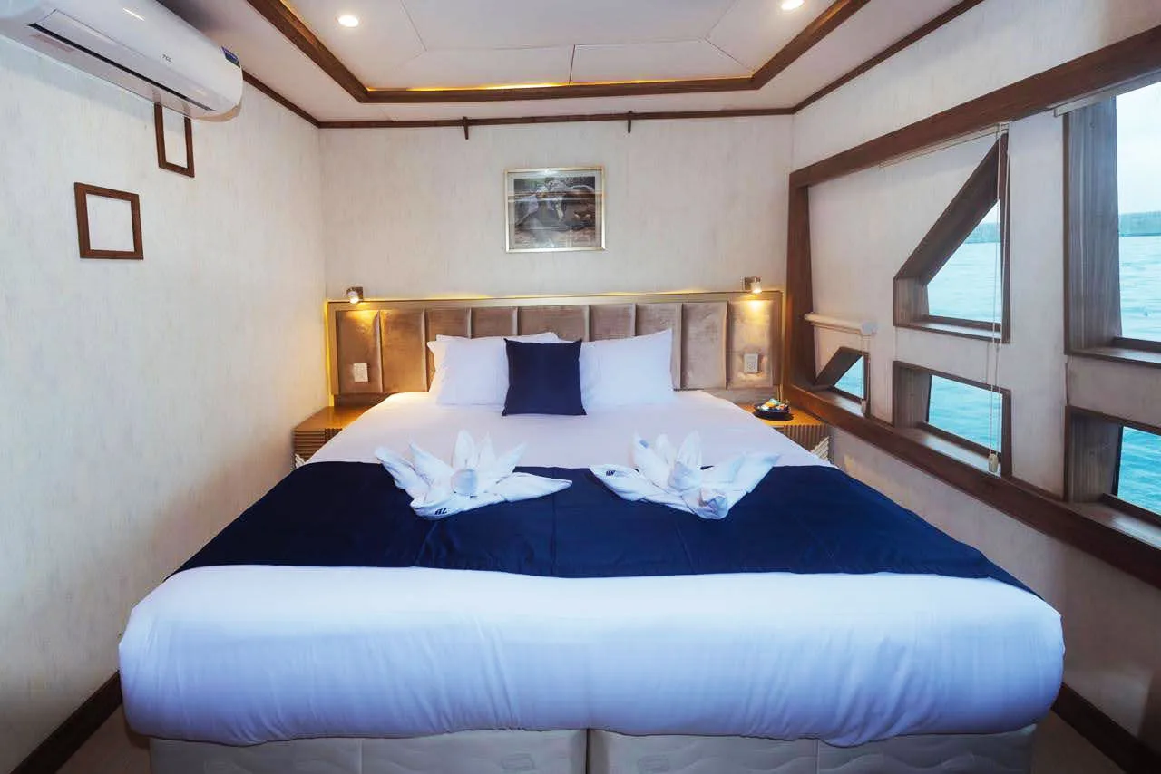 Queen bed in a main deck cabin aboard Tiburon Explorer