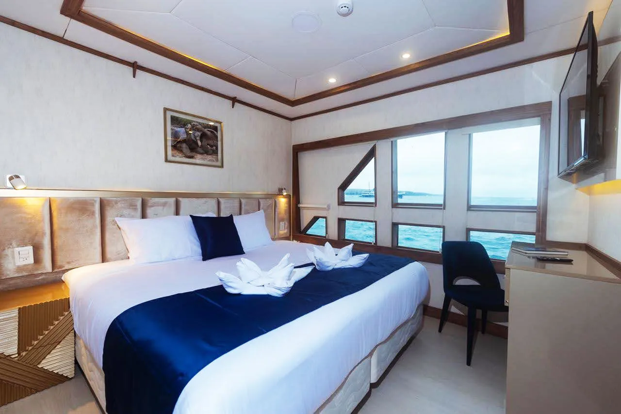 Ocean view from the bed in a Tiburon Explorer main deck cabin
