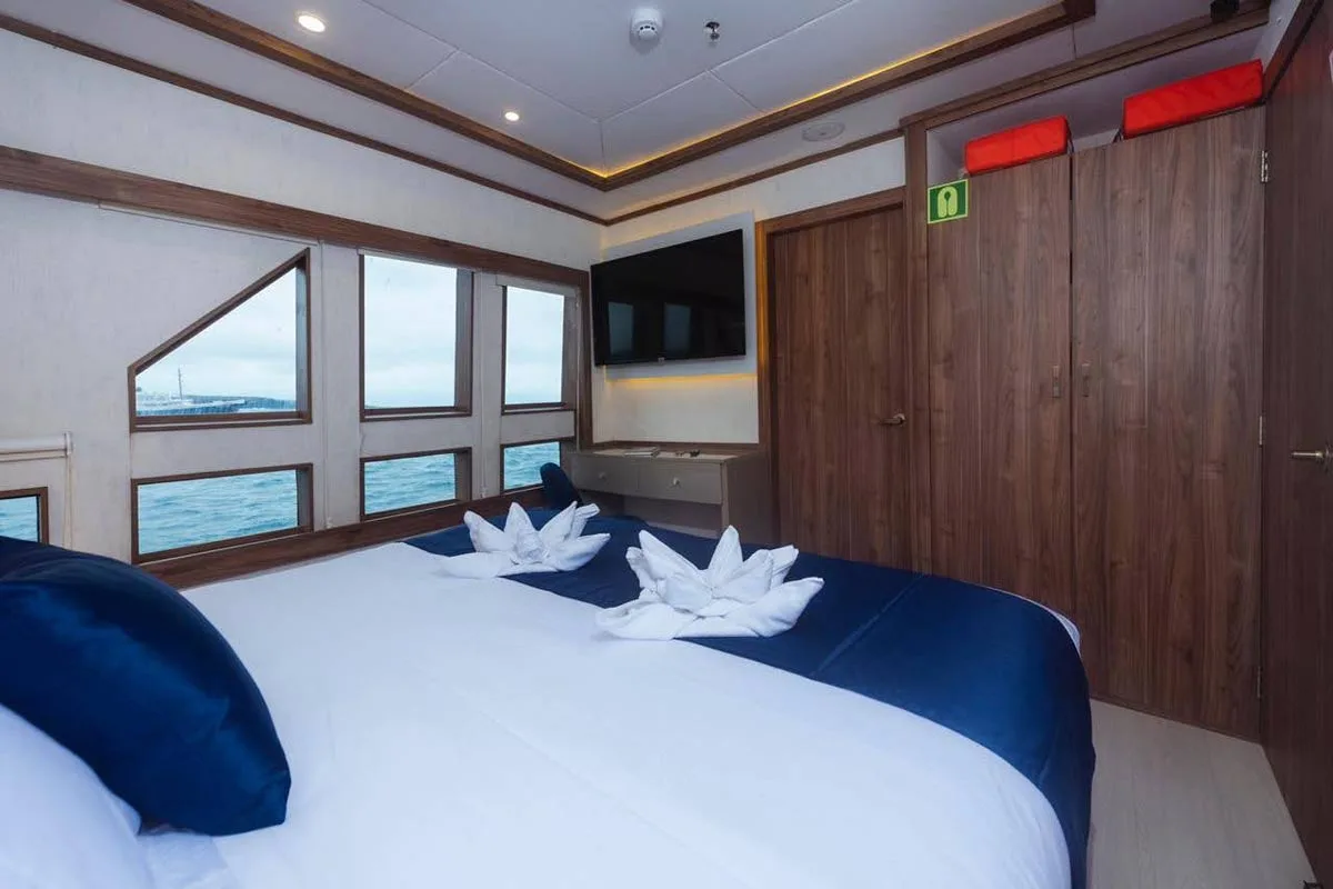 Corner windows in a main deck cabin on Tiburon Explorer