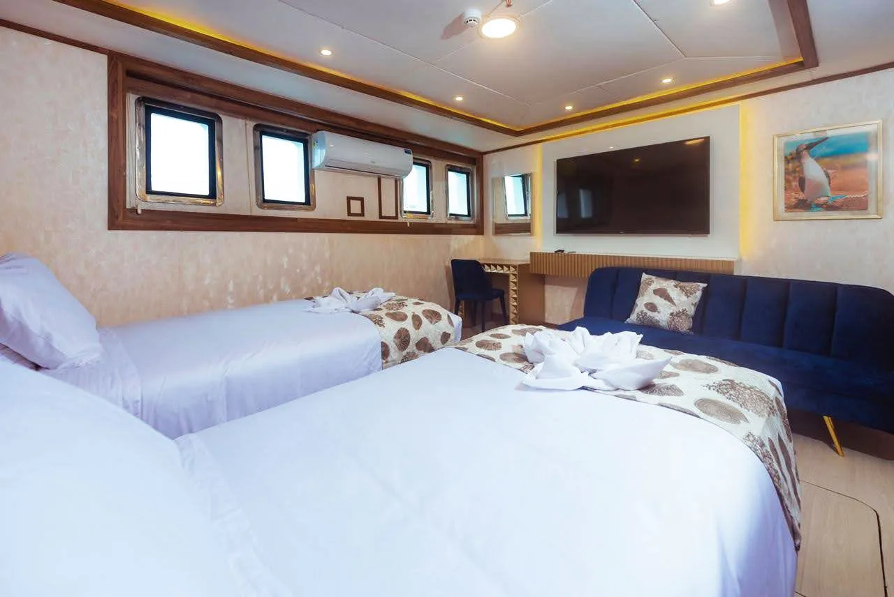 Lower deck cabin on Tiburon Explorer with sofa and TV