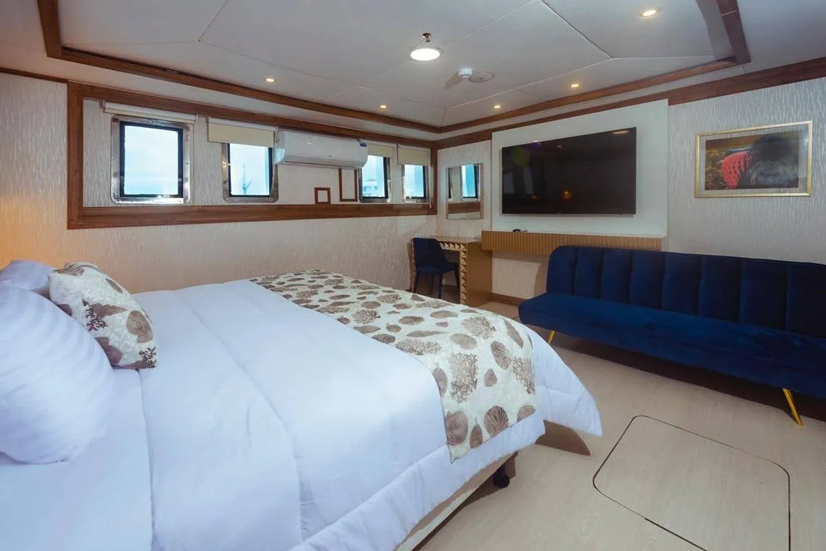 Lower deck cabin on Tiburon Explorer with portholes and a desk