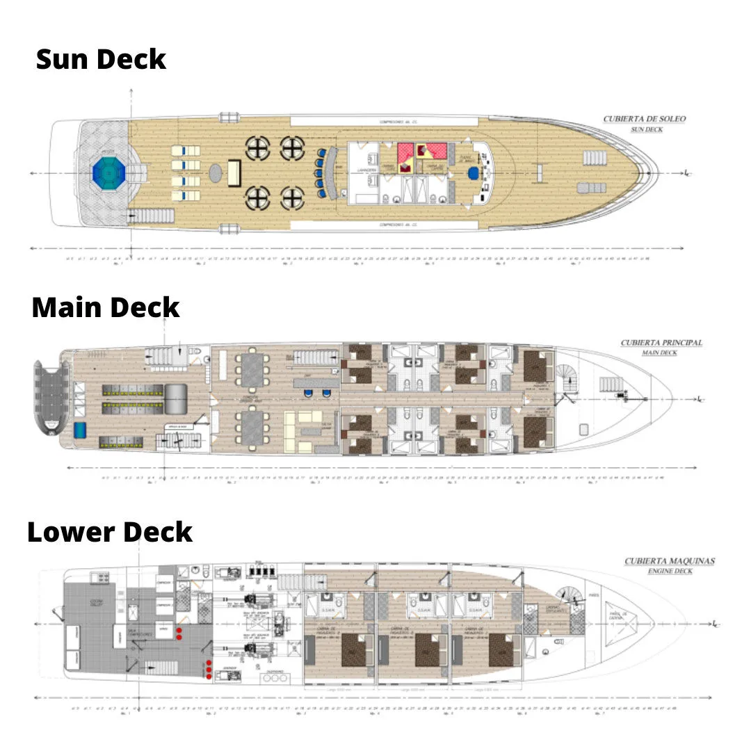 Tiburon Explorer deck plan