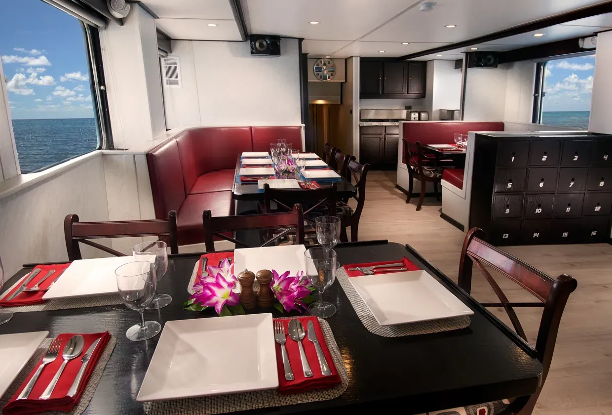 Truk Master — фото 7, дайвинг Микронезия