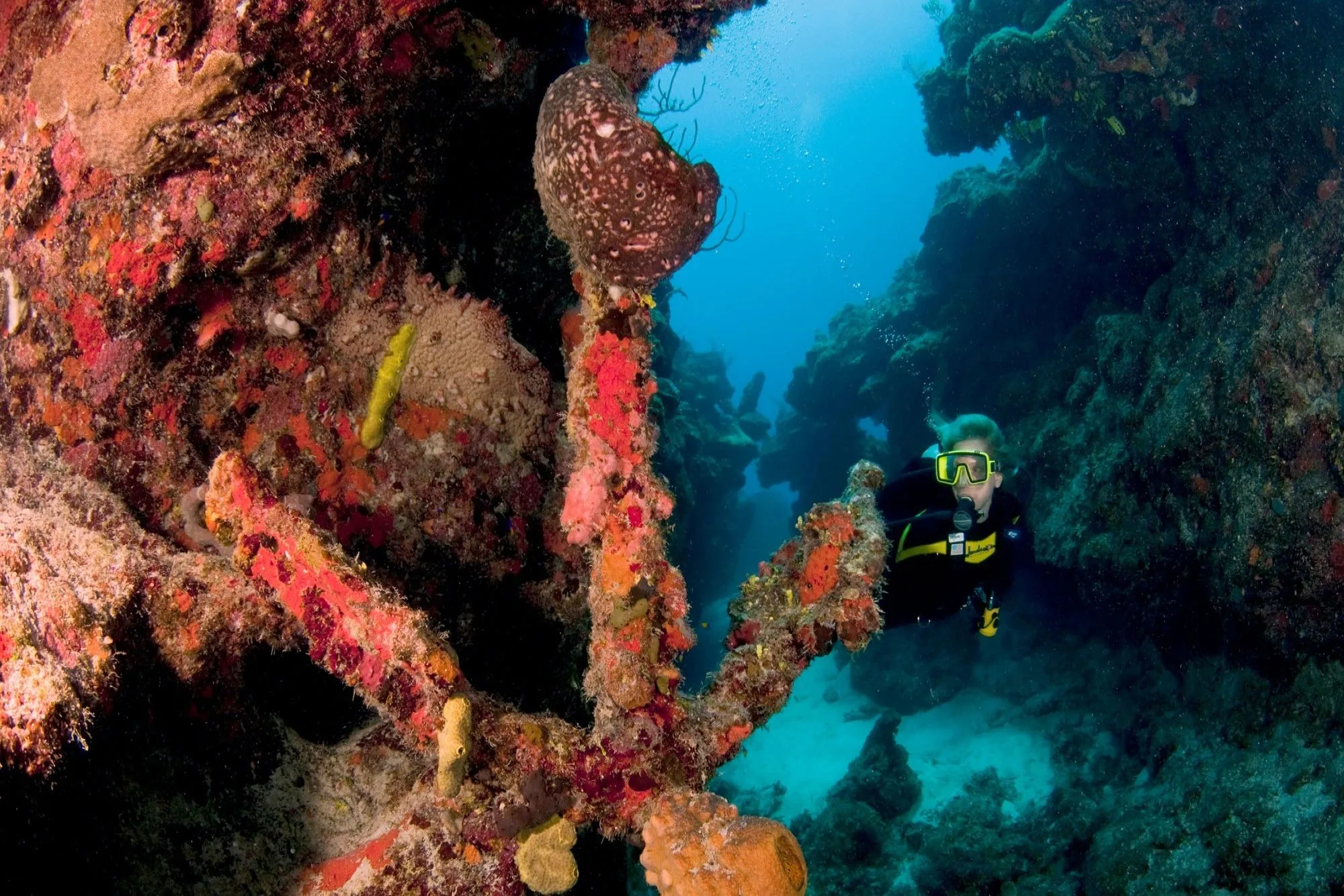 Diver beside coral-encrusted wreckage