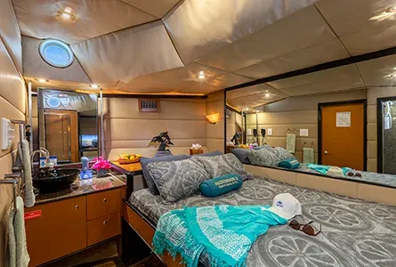 Master Stateroom — фото каюты