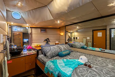 Master Stateroom — фото каюты