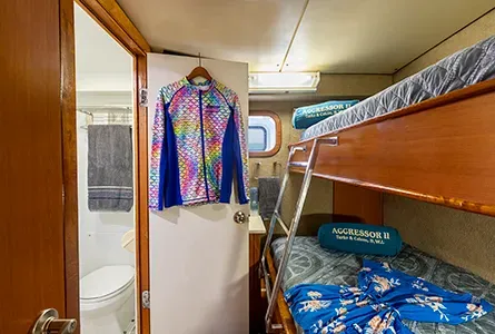 Twin-Share — фото каюты