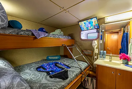Deluxe stateroom with wall-mounted TV and vanity on Turks and Caicos Aggressor II