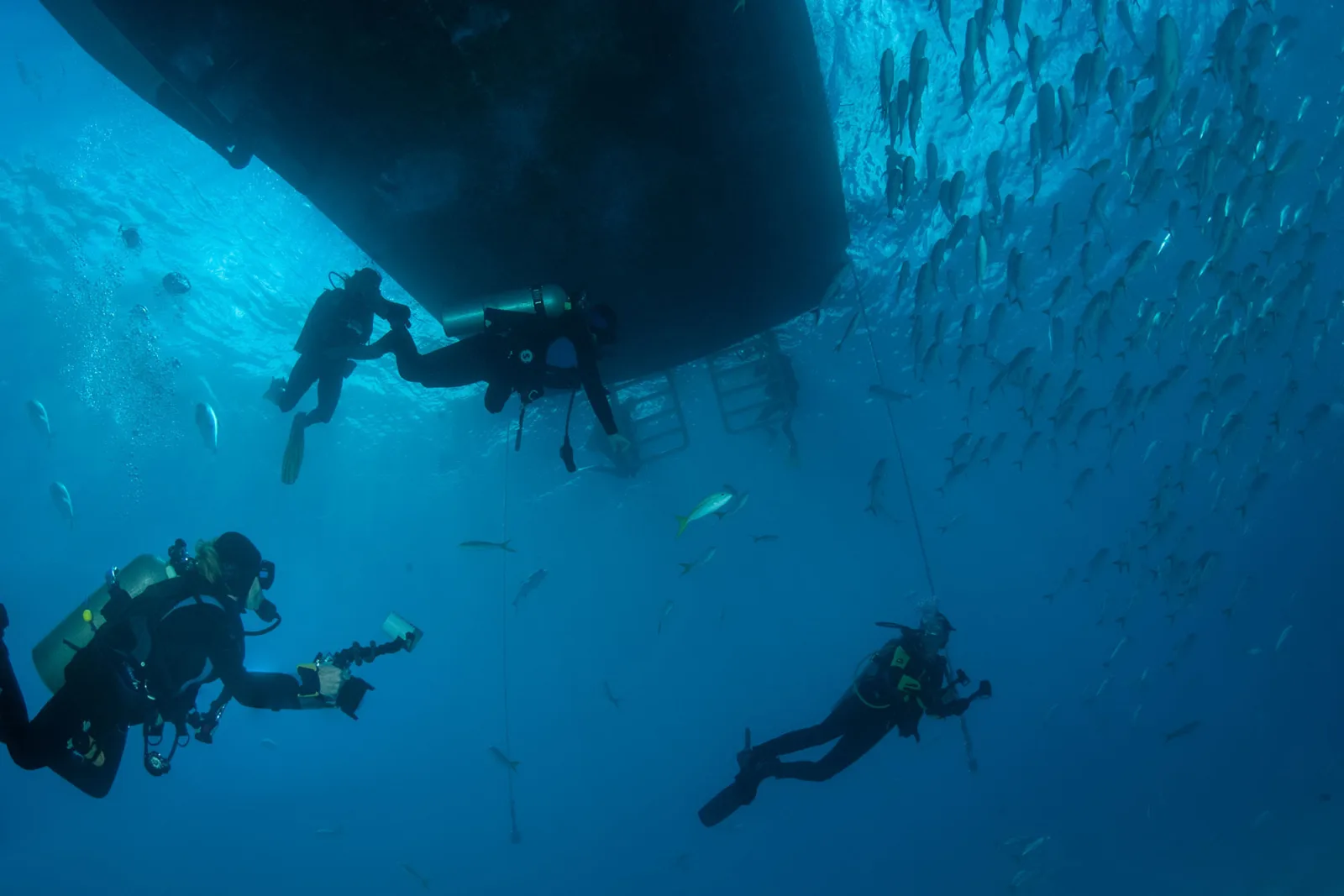Divers beneath the hull of Turks & Caicos Explorer II in a shoal of fish