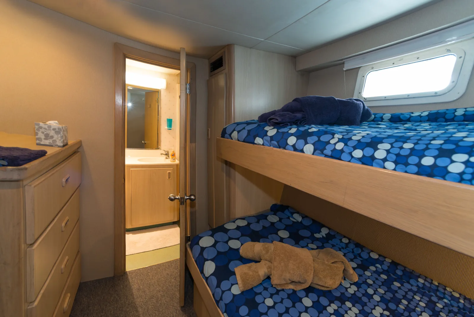 Lower deck stateroom on Turks & Caicos Explorer II — bunk beds and ensuite door