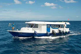 Яхта Virgo (Ark Venture). Дайвинг-дони