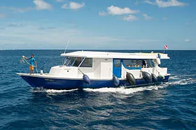 Яхта Virgo (Ark Venture). Дайвинг-дони