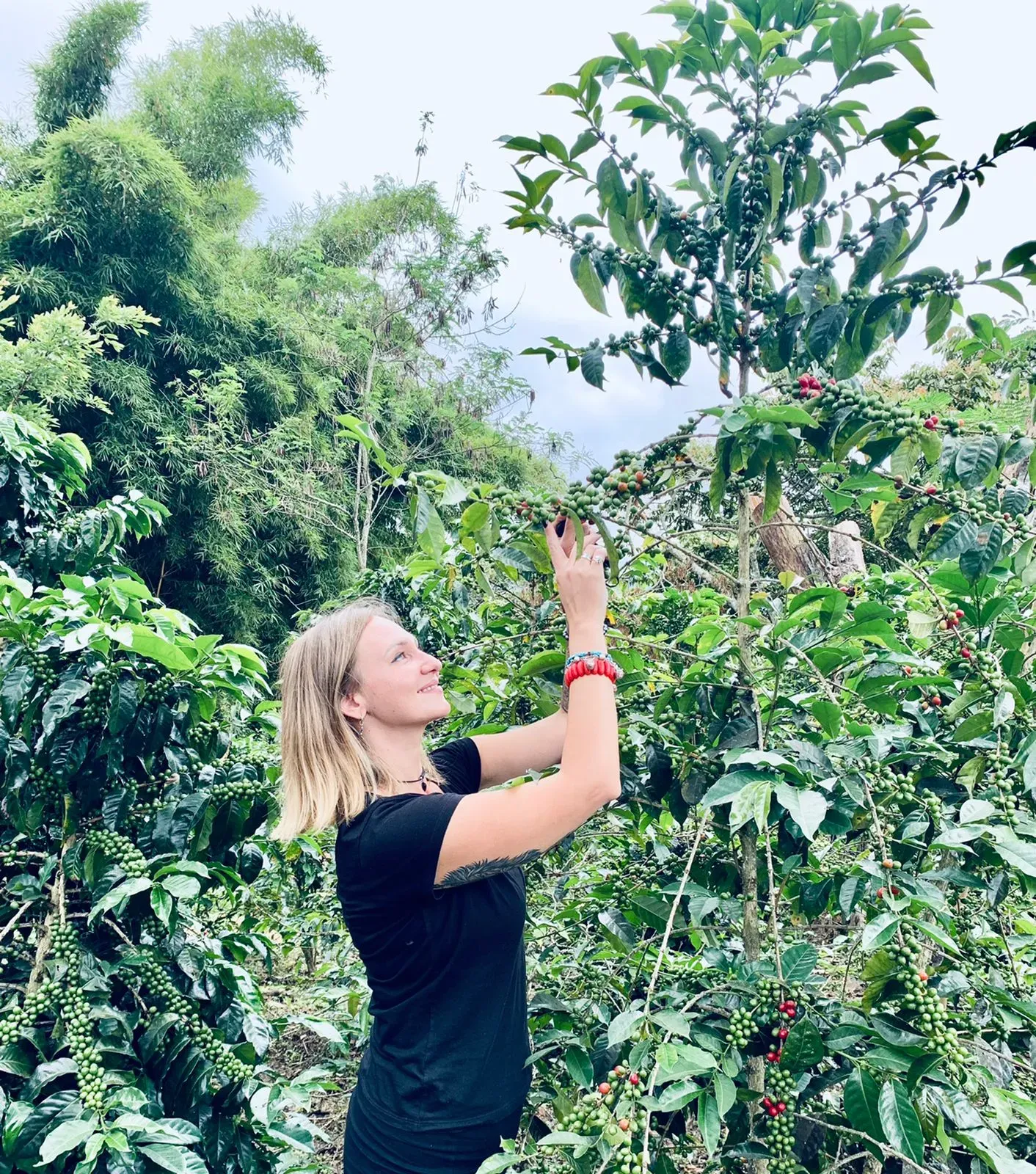 Кристина на кофейной плантации в Колумбии