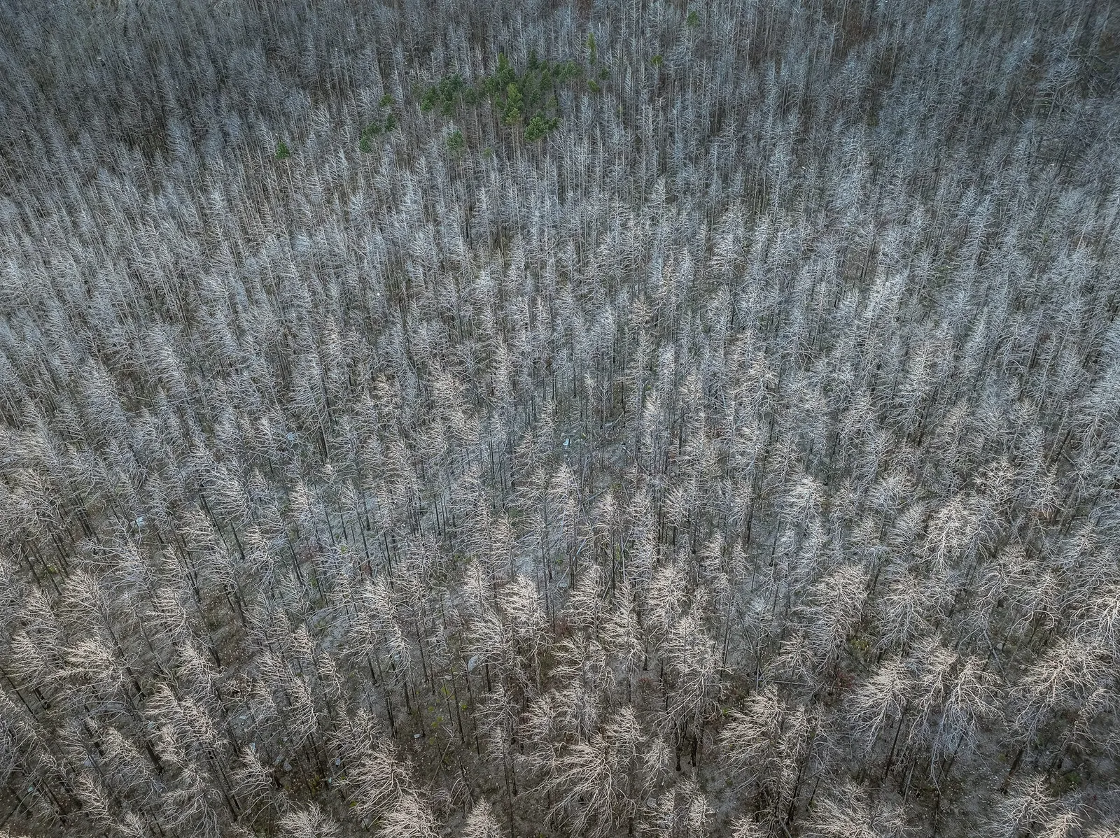 Байкал с высоты птичьего полёта