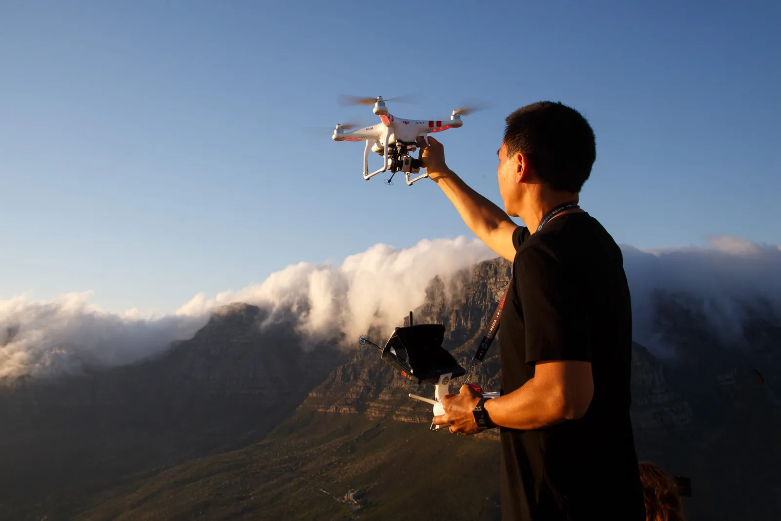 Наблюдение за животными