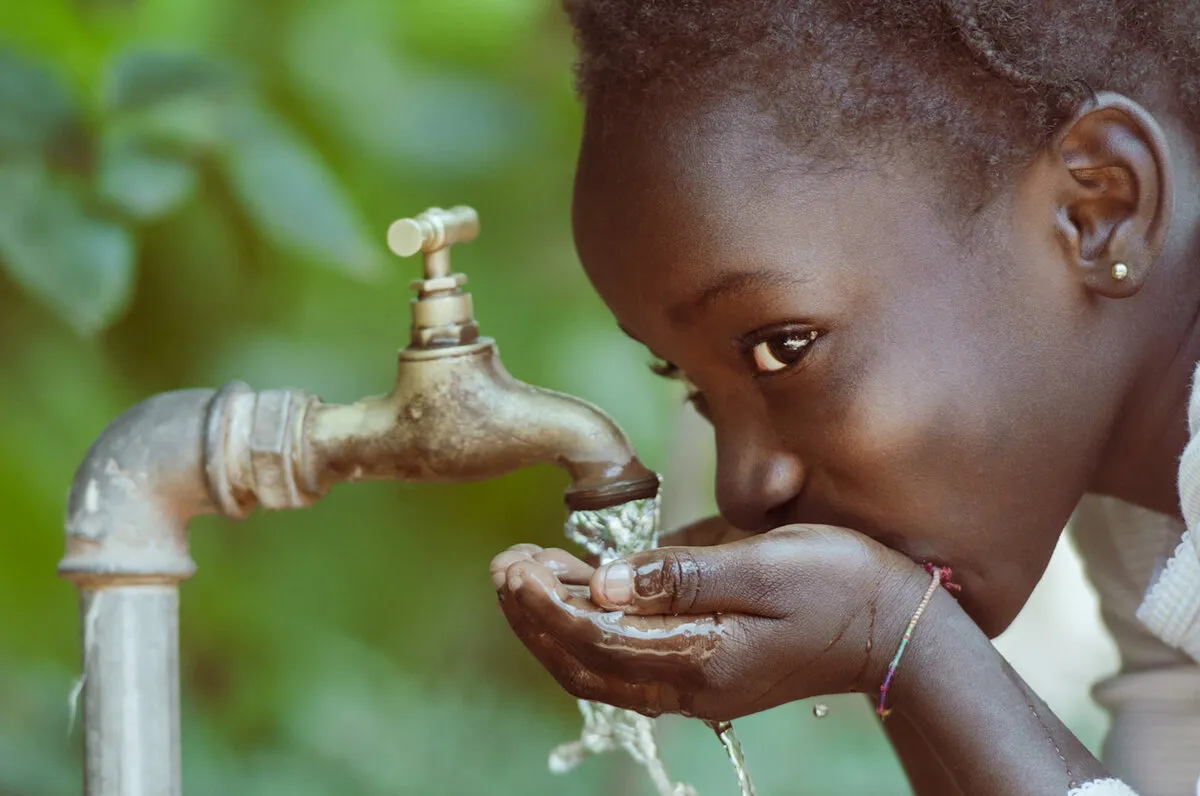 Дикая природа Африки