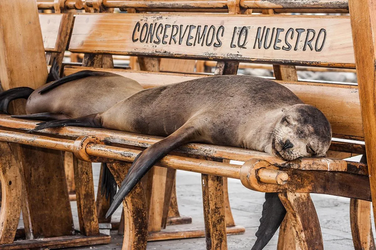 Галапагосские острова