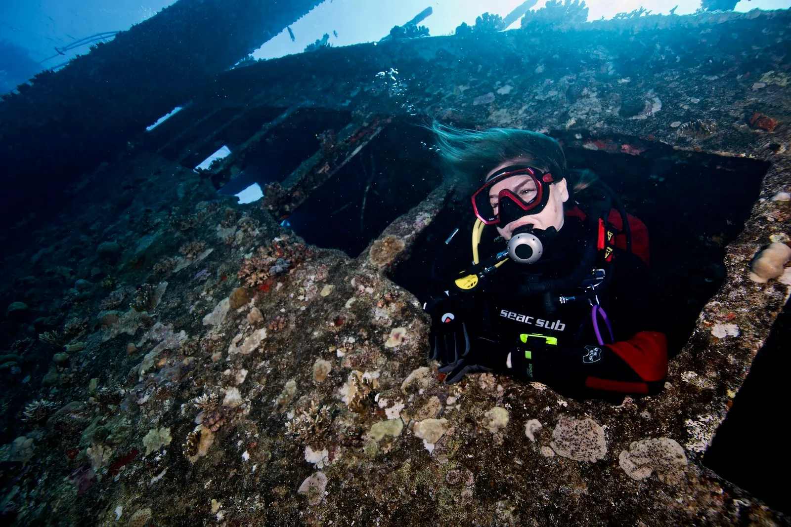 Подводный мир