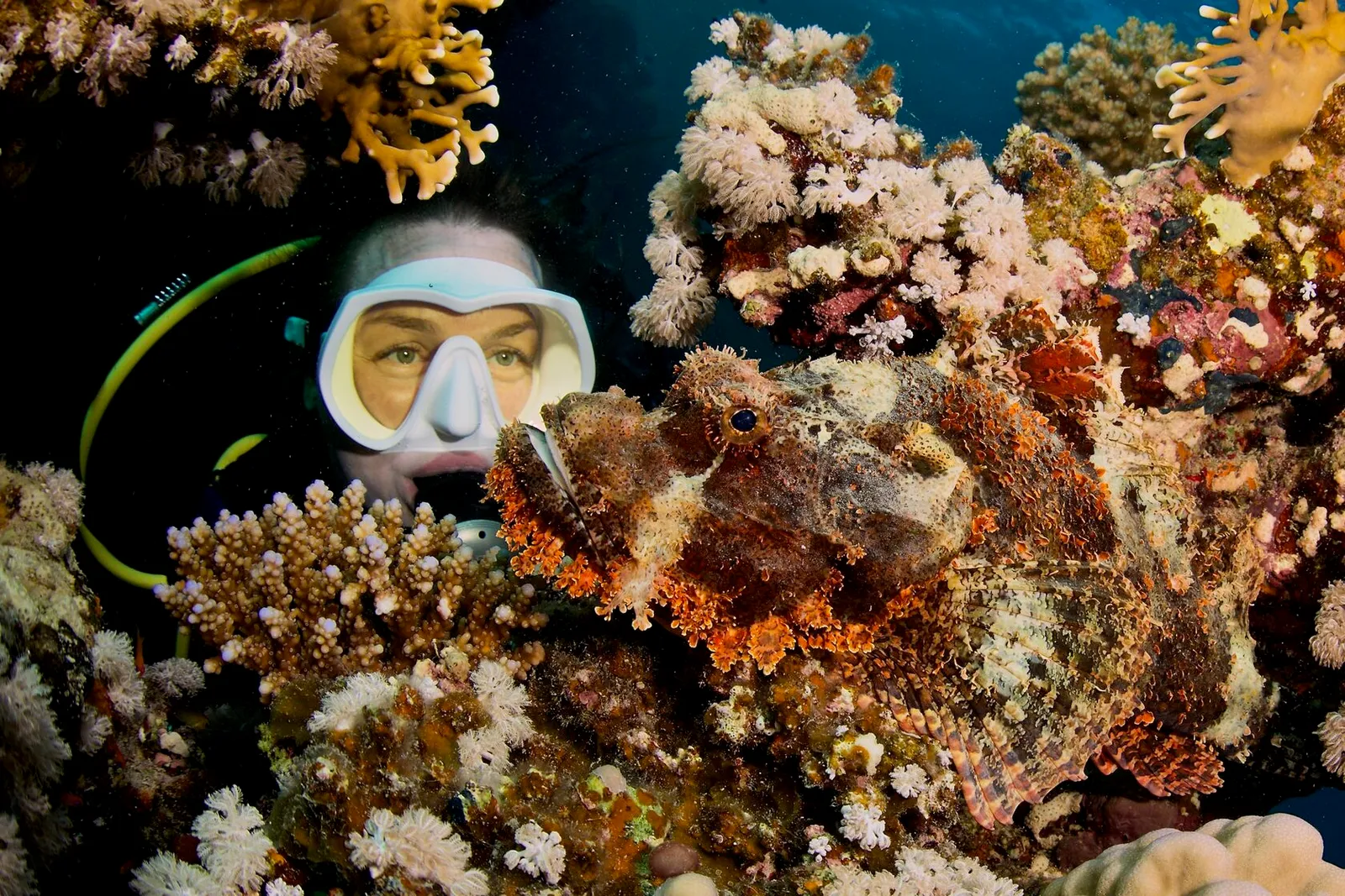 Женщина-дайвер