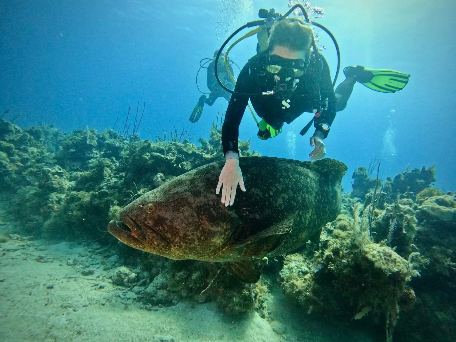 Куба, март 2024