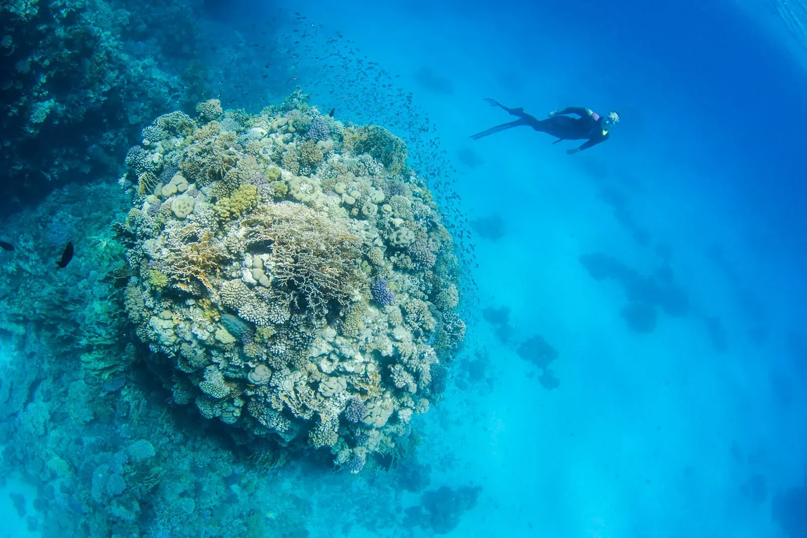 Египет, июнь 2021