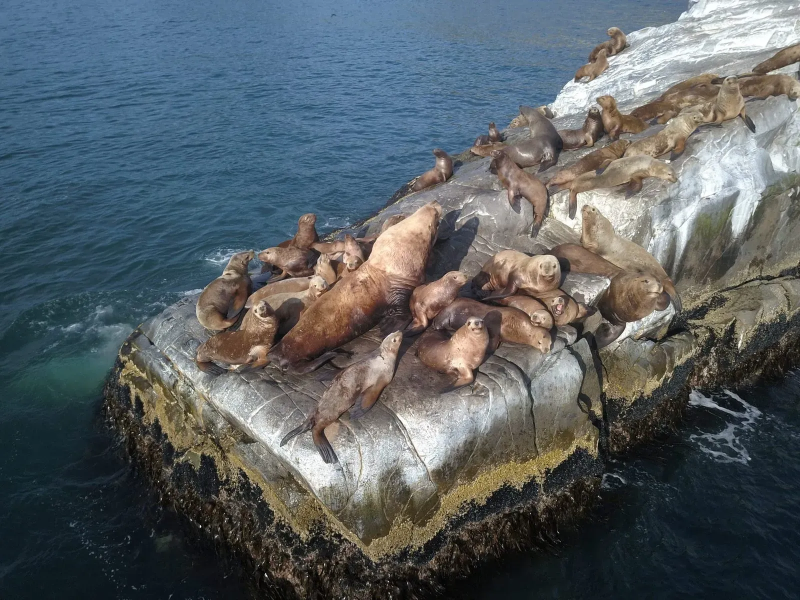 Камчатка, август 2020