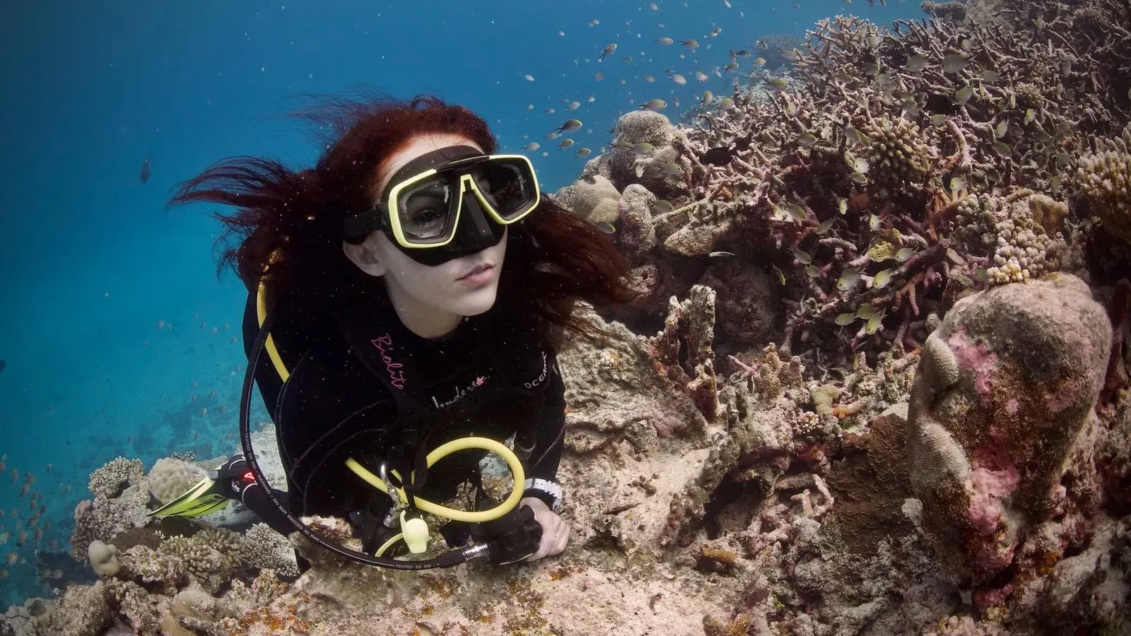 Мальдивы, февраль 2020