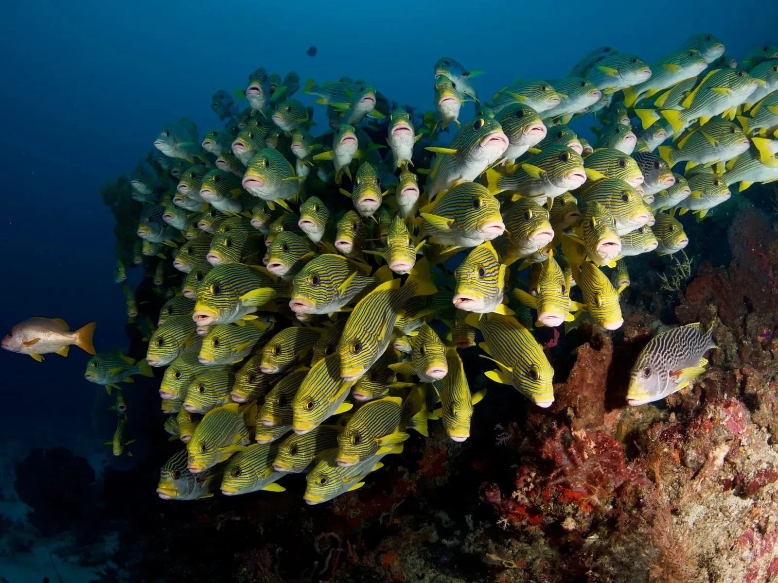 Папуа, январь 2023