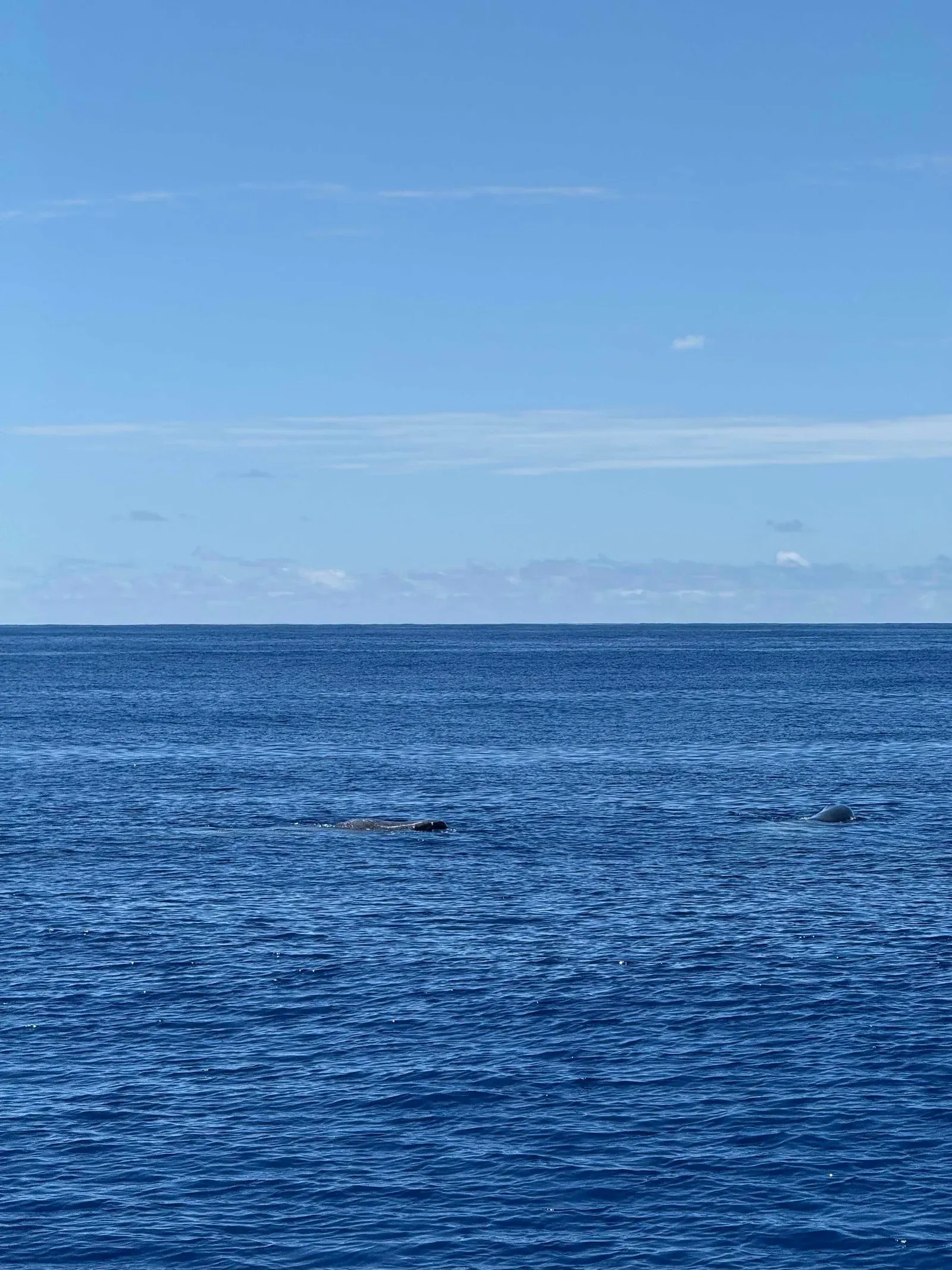 Азоры, август 2025