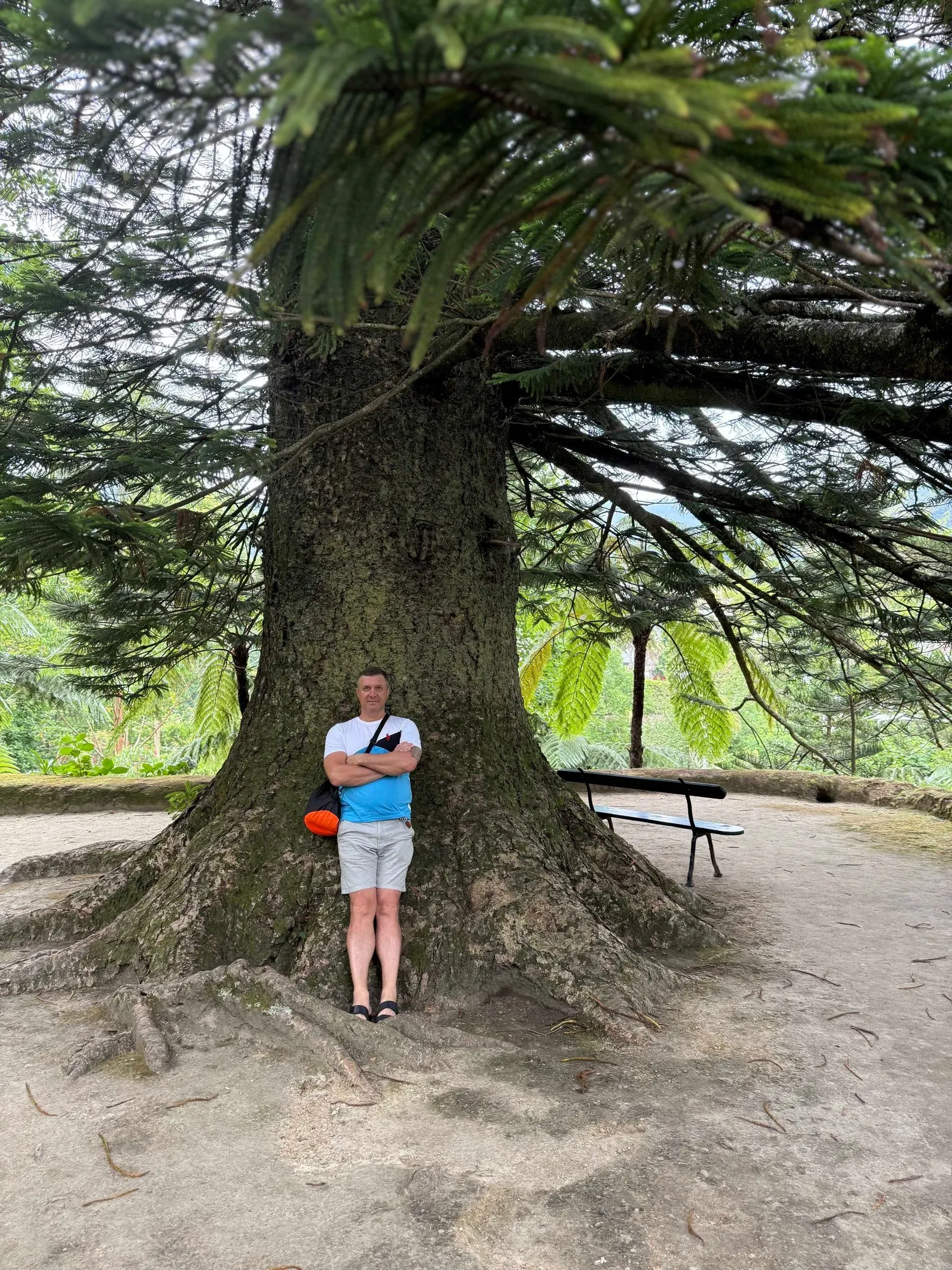 Азоры, август 2025