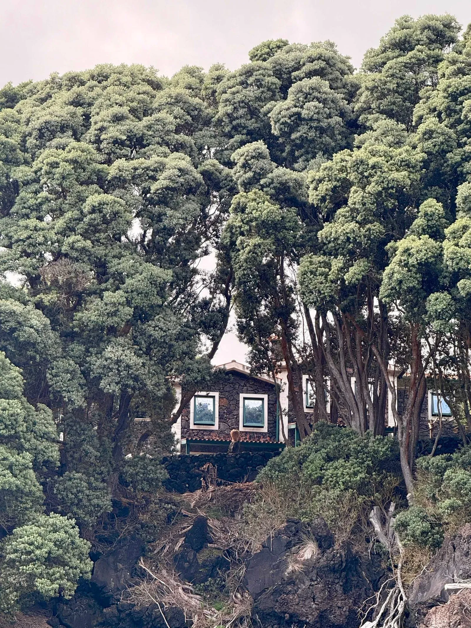 Азоры, август 2025