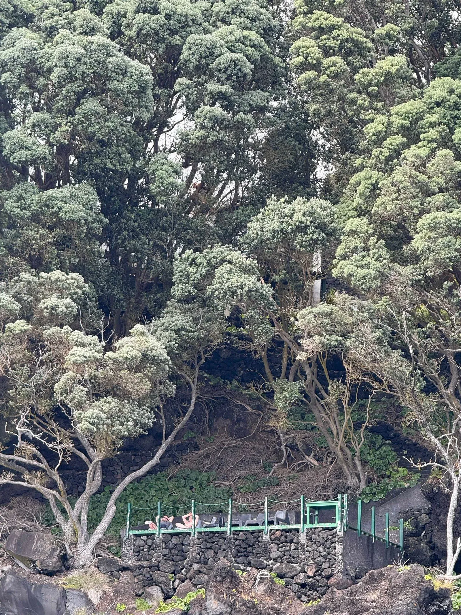 Азоры, август 2025