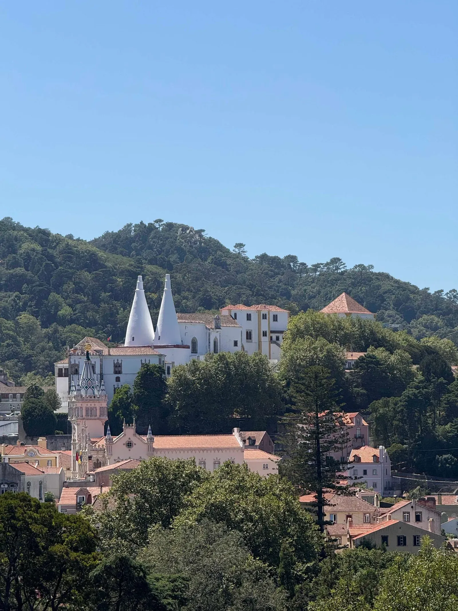 Азоры, август 2025