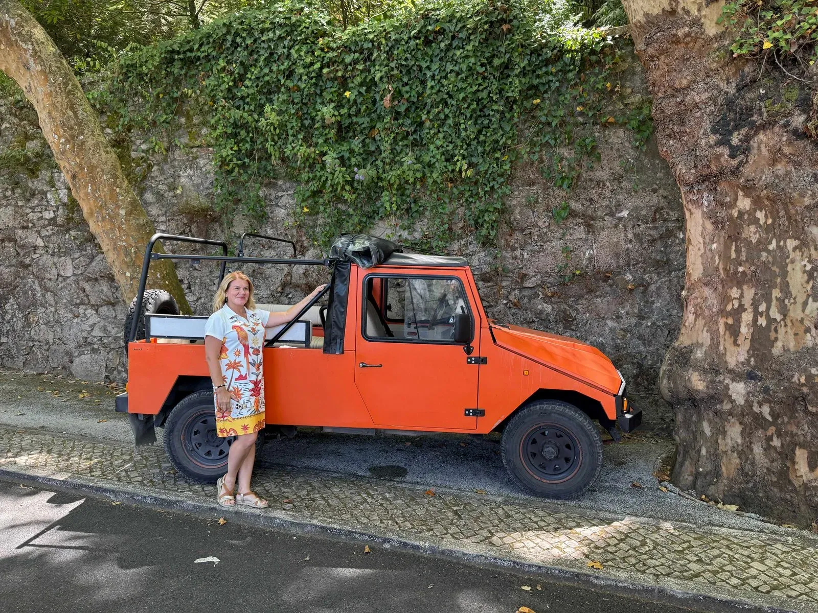 Азоры, август 2025