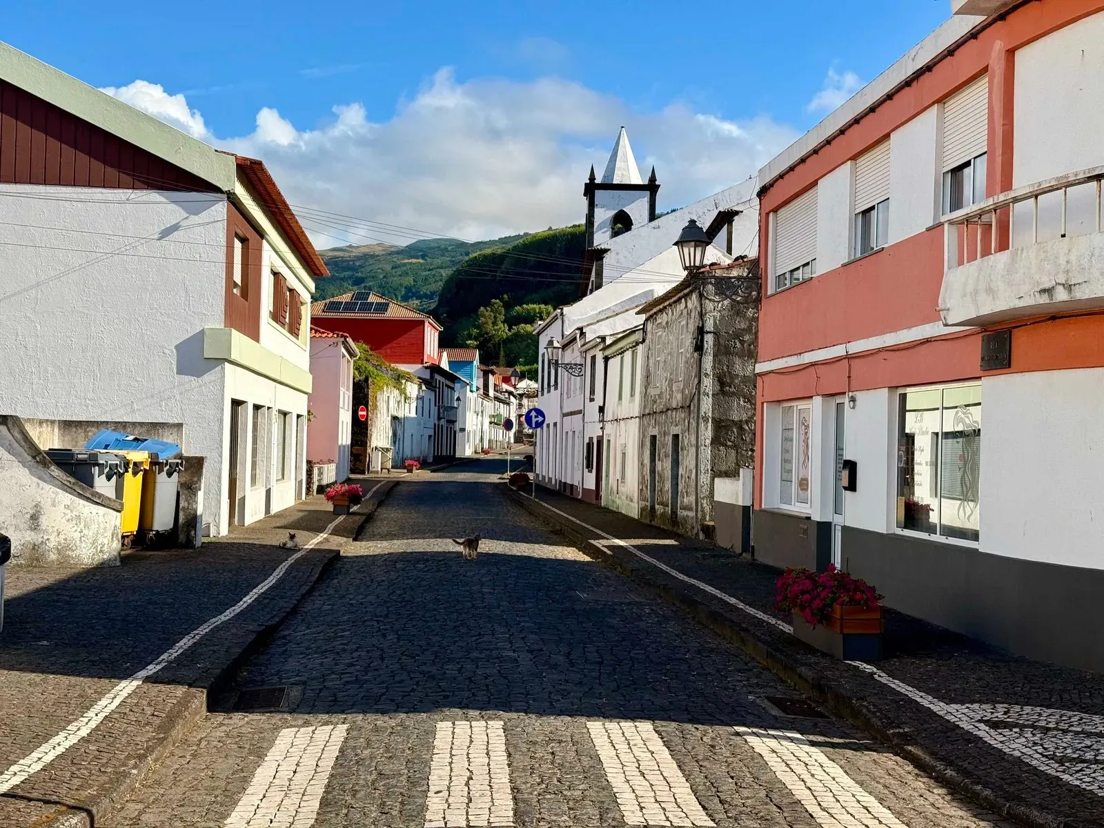 Азоры, август 2025