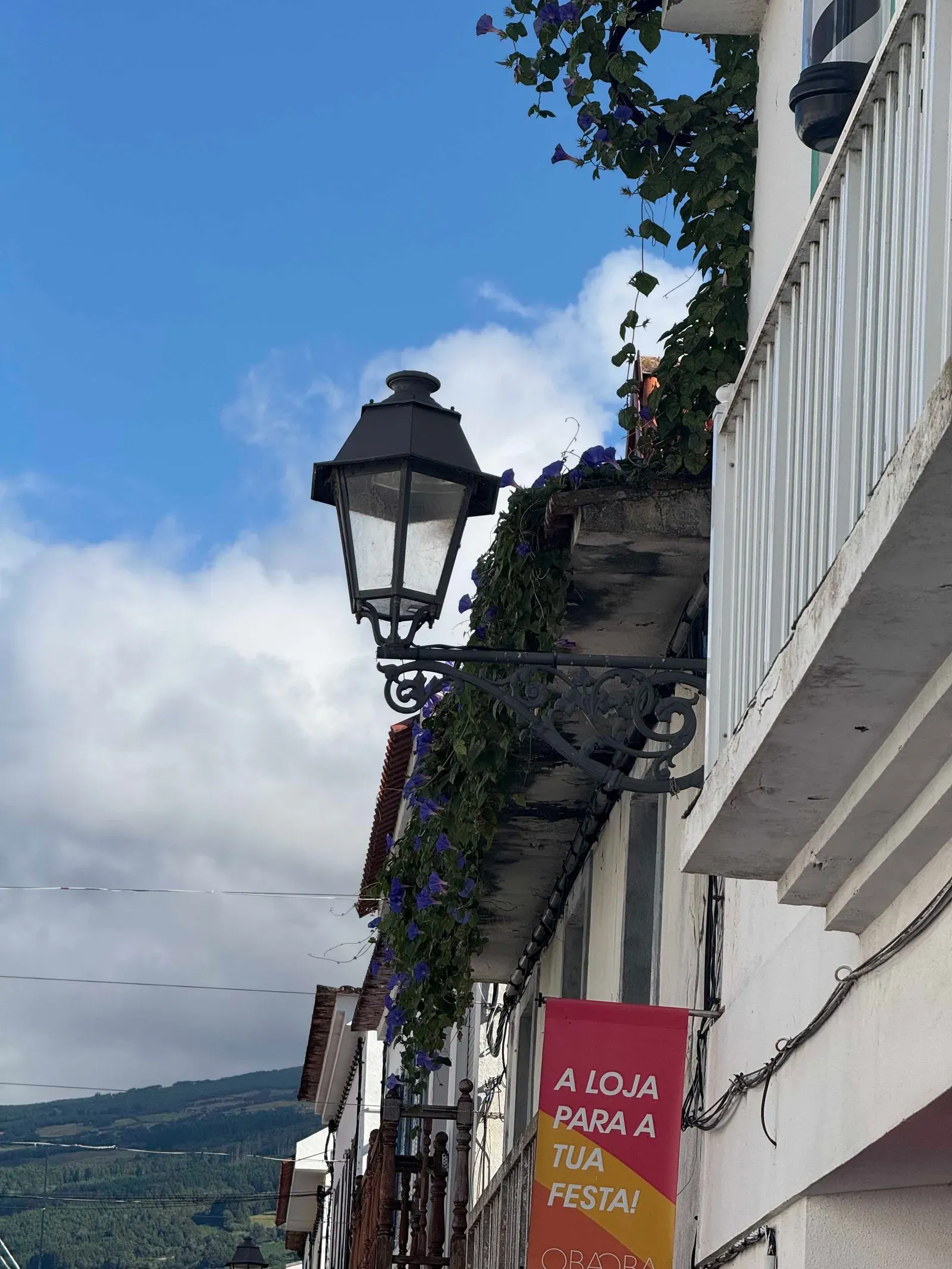 Азоры, август 2025