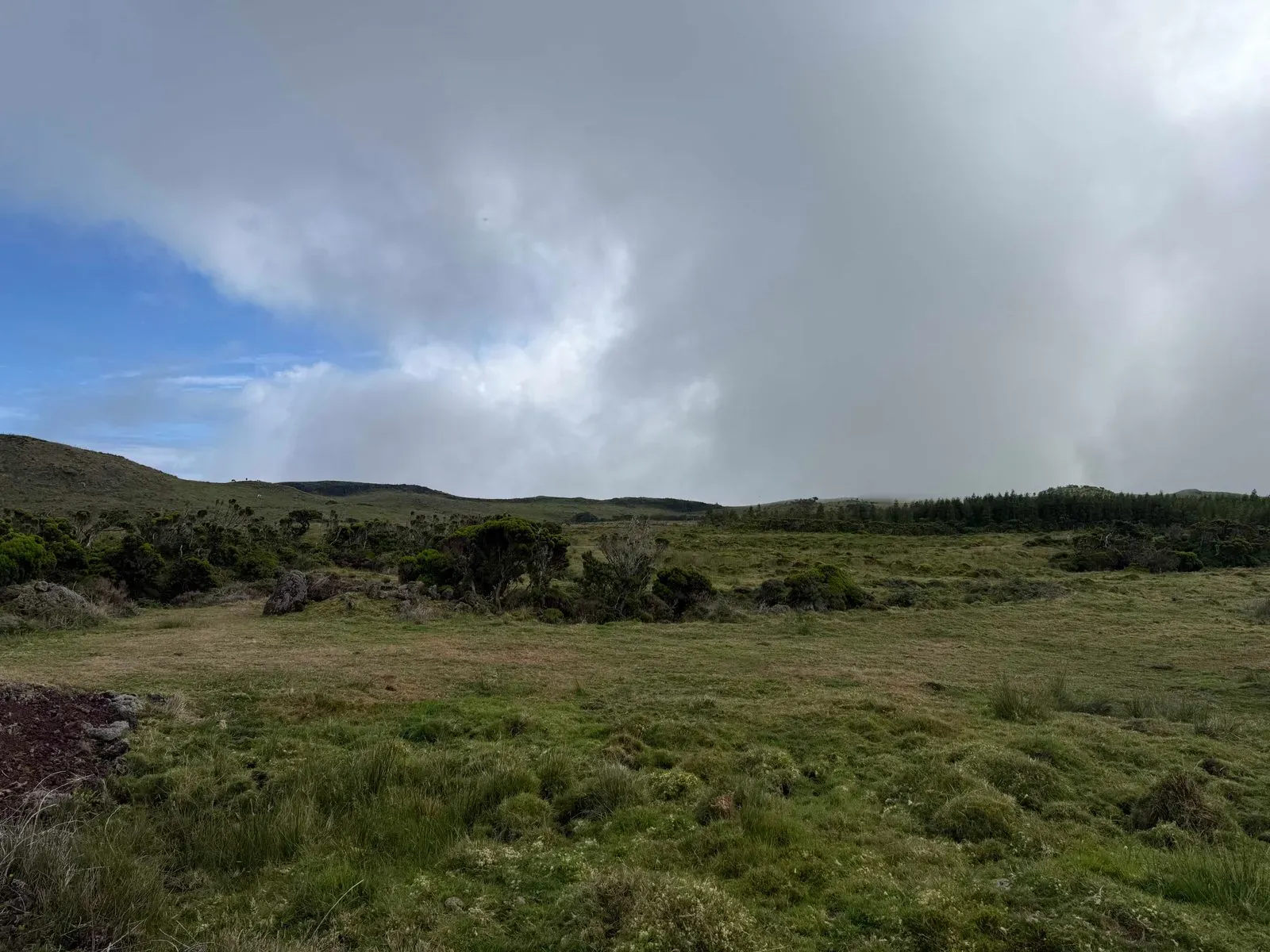 Азоры, август 2025